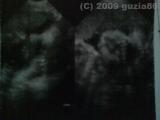 Starka bilder