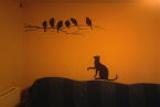 teraz mam na ścianie ptaszki i kotka-namalowane przez syna