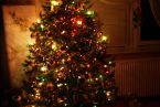 nasze świąteczne drzewko :)