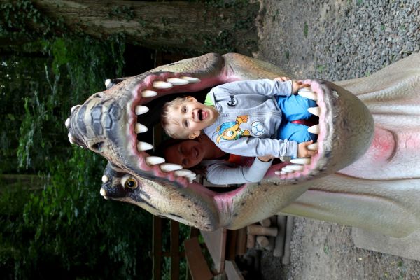 kiedy idziesz parkiem i spotykasz dinozaura!!!