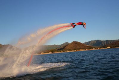 fly.jpg