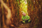 Adaś - mały odkrywca w kolorowym polu kukurydzy ;)