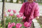 Natalka i pierwsze wiosenne tulipany
