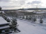 Mój zimowy krajobraz z 23XI 2008r.