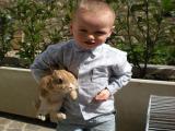 Mój synek po małym wypadku z króliczkiem