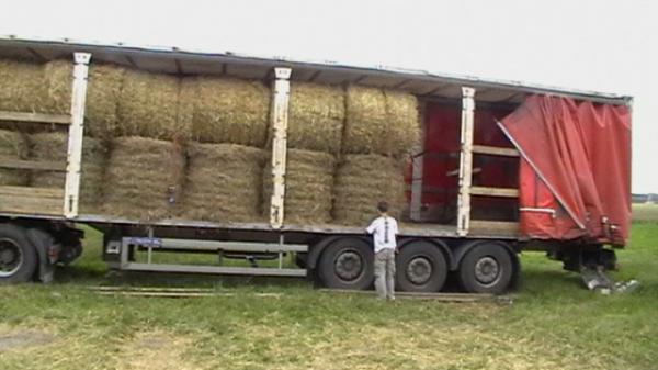 wyjazd transportu z pomocą dla powodzian, Rasy 24.06