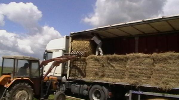 wyjazd transportu z pomocą dla powodzian, Rasy 24.06