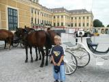 Zamek Schönbrunn