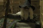 GANDALF! :D