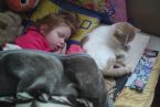 Julka i Ruda, kotka nie odstępuje Julki na krok zwłaszcza gdy Juli choruje.Ru chyba myśli , że Julka jest jej kocięciem ;)