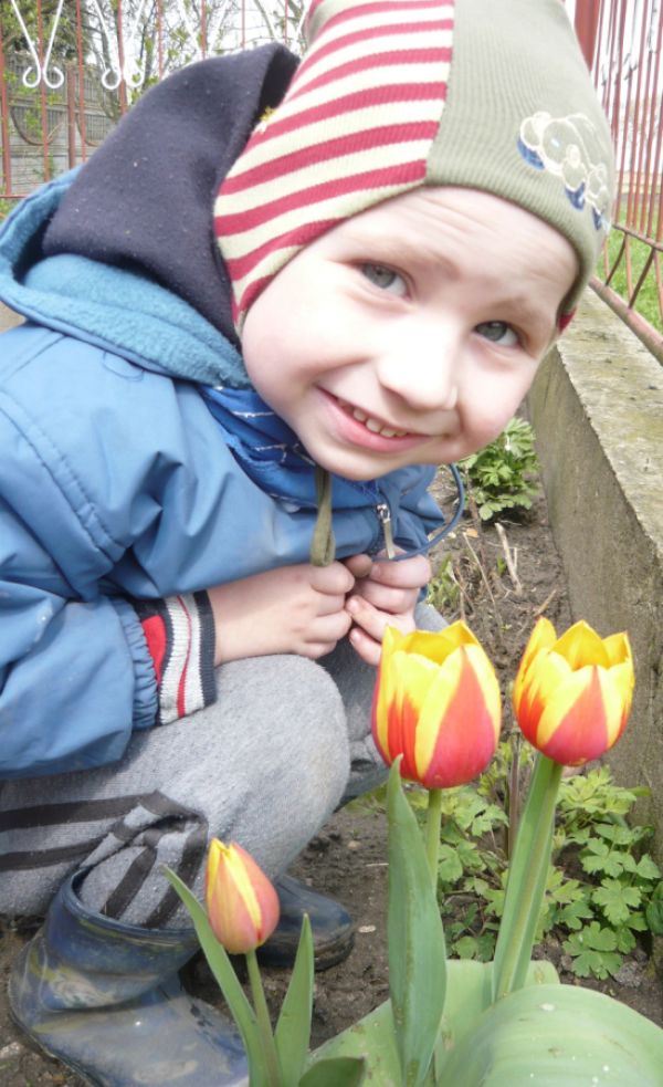 Łukaszek i tulipany