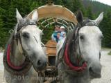 w drodze nad morskie oko  ;)