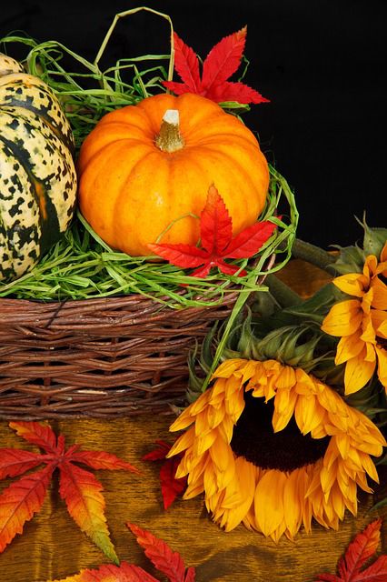 autumn-21454_640.jpg