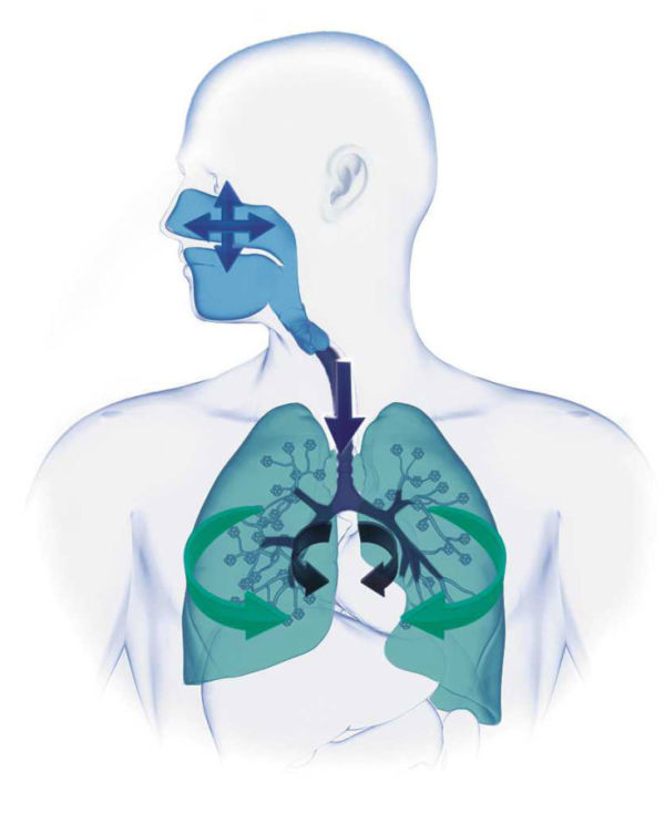 InhalacjaProces.jpg