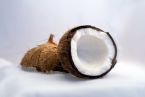 coconut-1125_1280.jpg