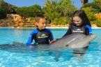 Zoomarine - Dolphin Emotions Premium- DEM_07- fot Zoomarine Algarve-sm.jpg