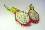 Pitaja, dragon fruit.jpg