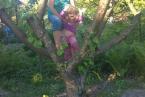 Zabawy z babcią na drzewie