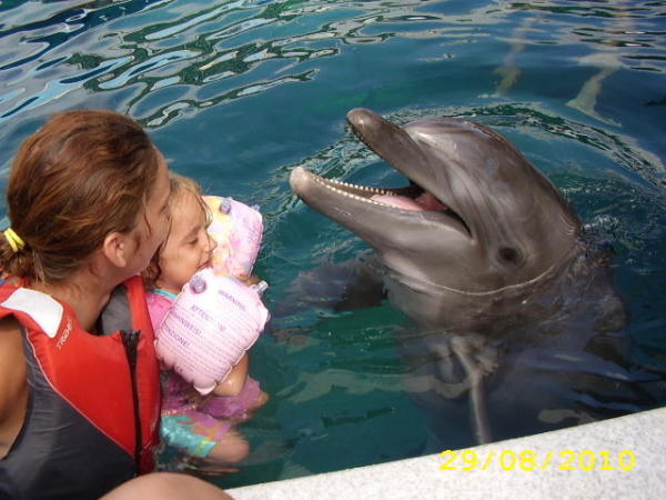 Delfinoterapia2010
