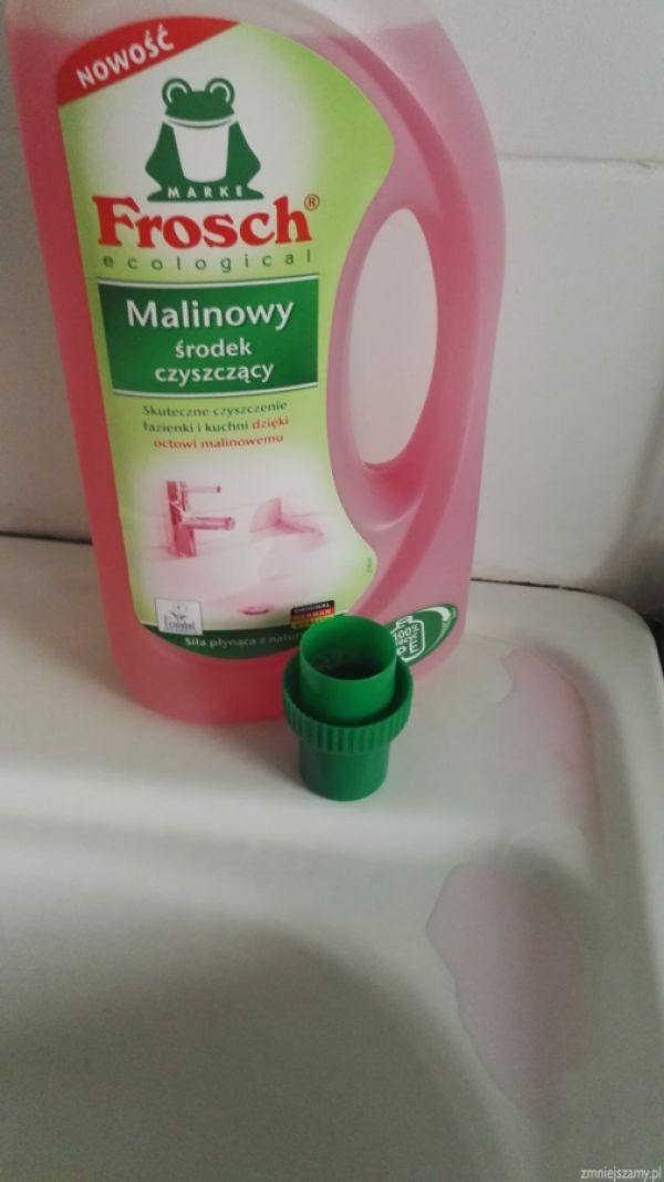 FROSCH nr 2.jpg