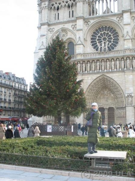 Paryż - przy Katedrze Notre-Dame 