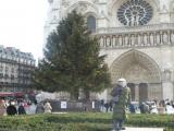Paryż - przy Katedrze Notre-Dame 
