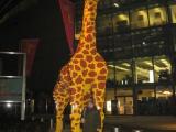 Z żyrafą z klocków lego - w tle dekoracje festiwalu filmowego :-)