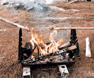 Kiełbasa pieczona na ognisku z jałowcem i boczkiem